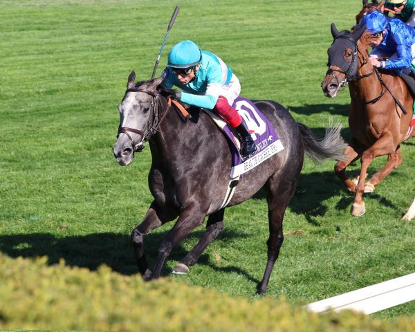 Beaute Cachee holt sich die Jenny Wiley Stakes. Foto: Keeneland Photo