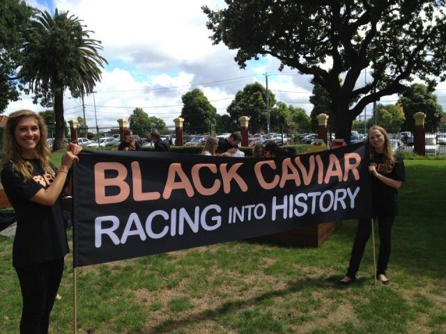 Die Erwartungen der Black Caviar-Fans sind hoch gesteckt ... Foto privat