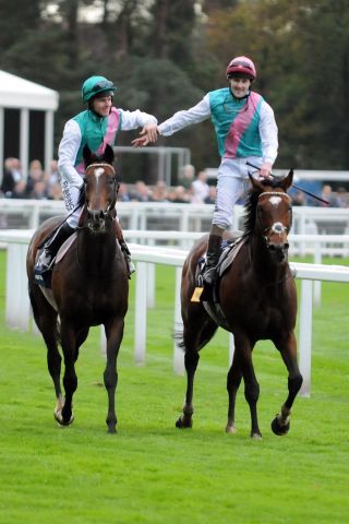 Bullet Train (links mit Ian Morgan) und sein berühmter Bruder Frankel (Tom Queally) nach Qipco Champion Stakes. www.galoppfoto.de - John James Clark