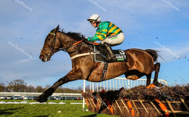 Buveur d'Air meldete sich erfolgreich zurück. Foto: Turfpix - Tracy Roberts