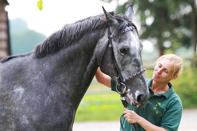 Crespo in guten Händen mit Besitzerin und Siegreiterin Olga Laznovska. Foto: Maximilian Koch