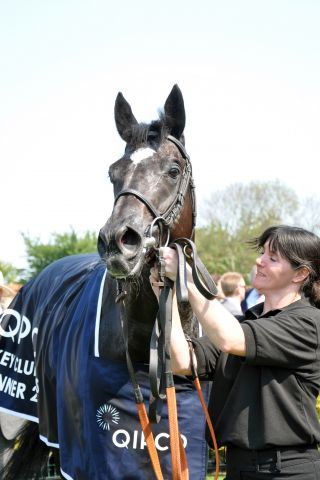 Dandino nach dem Sieg in den Jockey Club Stakes 2011 in Newmarket. www.galoppfoto.de - John James Clark