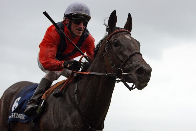 Danedream mit Andrasch Starke auch im Longines Grossen Preis von Baden, Gr. I, überragend. www.galoppfoto.de