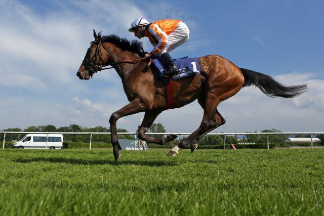 Gelingen Danedream und Andrasch Starke ein erfolgreicher Rennbahn-Abschied in Deutschland und die Titelverteidigung im Longines - Großer Preis von Baden? www.galoppfoto.de 