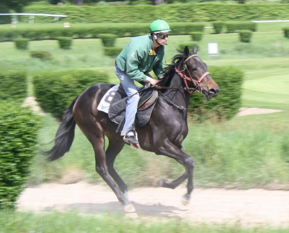 Daniele Porcu war auf der Mülheimer Rennbahn gleich im ersten Rennen erfolgreich. www.muelheim-galopp.de - Redaktion MSPW