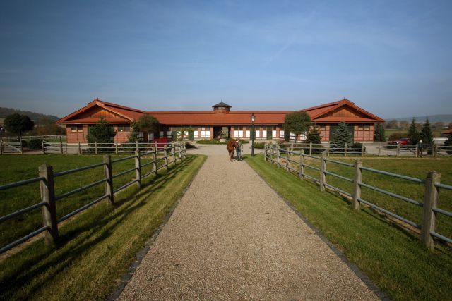 Das Gestüt Höny-Hof im hessischen Oberaula. 2000 zogen die ersten Pferde ein, zum Gestüt gehören 38 Hektar Koppeln und 800 Hektar Wald. www.galoppfoto.de