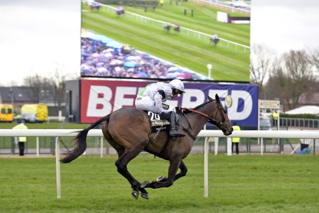 Das umsatzstärkste Rennen des Jahres: Das Grand National mit dem Sieger Pineau De Re unter Leighton Aspell. www.galoppfoto.de - John James Clark