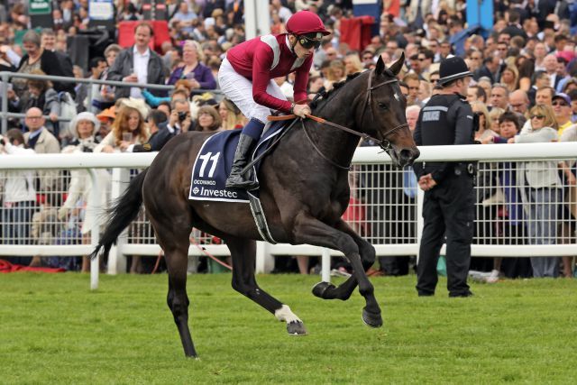 Wird NH-Stallion für Coolmore: Der Monsun-Sohn Ocovango - hier mit Pierre Boudot in Epsom. www.galoppfoto.de - Petr Guth