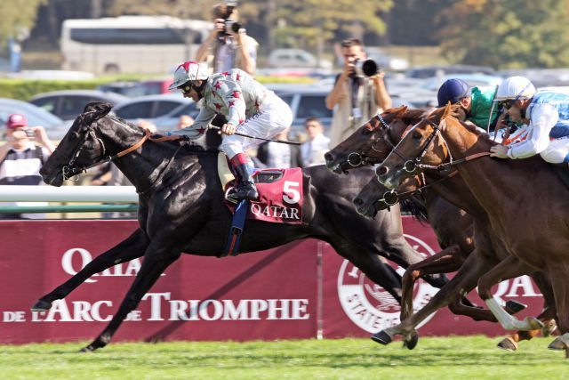 Der neue Karlshofer Deckhengst Dabirsim bei seinem Sieg im Grand Criterium (Gr. I) in Longchamp mit Frankie Dettori. www.galoppfoto.de - Frank Sorge.JPG