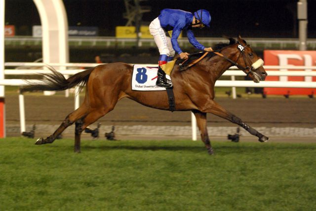 Der Tiger Hill-Sohn Rewilding (Jockey Lanfranco Dettori) musste nach einem tragischen Unfall bei den King George VI eingeschläfert werden.  Foto Archiv: www.galoppfoto.de - Peo Ploff