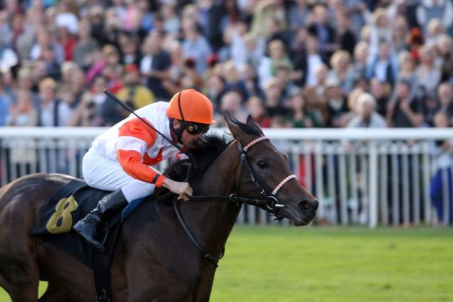 Deutschland bester Dreijährige gegen das beste Pferd der Welt: Pastorius (hier bei seinem Sieg im Westminster 22. Preis der Deutschen Einheit in Hoppegarten)  vs Frankel. www.hoppegarten.com - www.galoppfoto.de