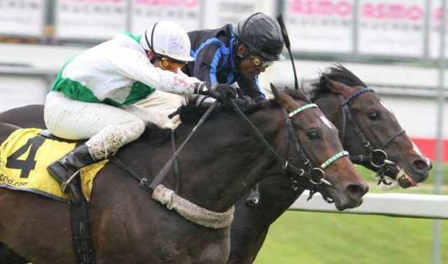 Stall Salzburgs Diamond Falcon (vorne mit Karoly Kerekes) vor Empire Hurricance (Eduardo Pedroza) in den Farben von Manuela Sohl. Foto: Sebastian Höger