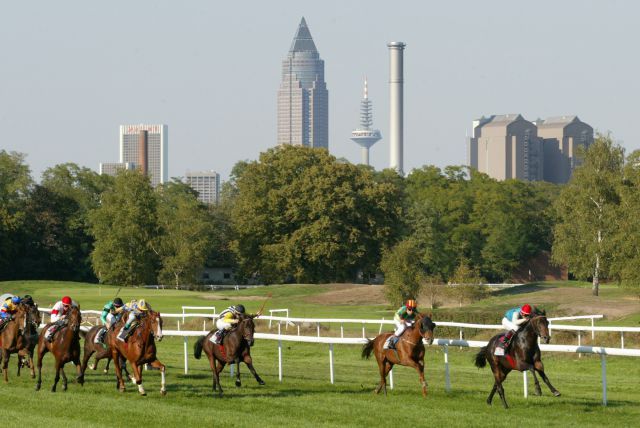 Der Start der Turf-Saison in Frankfurt muss mit großer Wahrscheinlich verschoben werden. www.galoppfoto.de