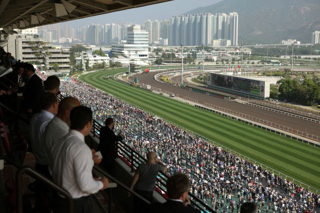Für die Internationalen Rennen am 11. Dezember auf der Rennbahn Sha Tin in Hong Kong sind auch zahlreiche deutsche Pferde genannt. www.galoppfoto.de