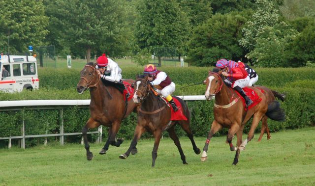 Die zierliche Stute Ishita (Bildmitte) verwies die Konkurrenz im „Pfingstpreis Mülheim Raffelberg“ auf die Plätze. www.muelheim-galopp.de - Redaktion MSPW