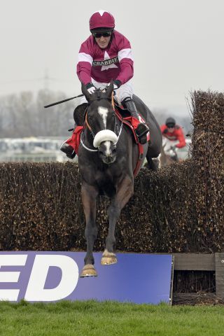 Der vom Gestüt Etzean gezogene Sholokhov-Sohn Don Cossack mit Anthony McCoy als Sieger in der Melling Chase, Gr. I. www.galoppfoto.de - John James Clark