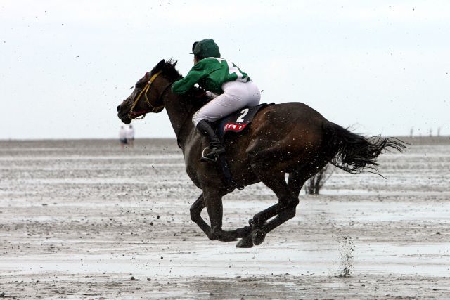 Dürfen wieder mit Wetten gelaufen werden: Reitpferderennen auf dem Duhner Wattenmeer. www.galoppfoto.de - Sabine Brose