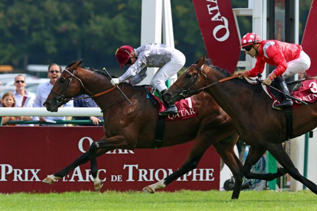 Ectot (Hurricane Run) gewinnt mit Gregory Benoist den Prix Niel, Gr. II, 2014 in Longchamp. Foto: Dr. Jens Fuchs