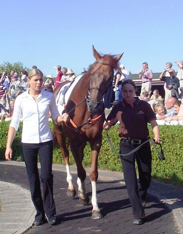 Egon vor dem Derby-Start 2009 in Hamburg-Horn. Foto: Turf Aktuell