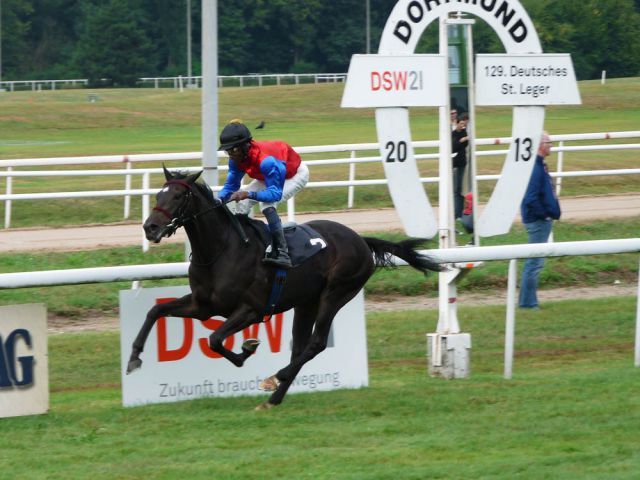 Ein 12-Längen-Sieg! Iman gewinnt mit Eduardo Pedroza  in Dortmund. Foto: Karina Strübbe