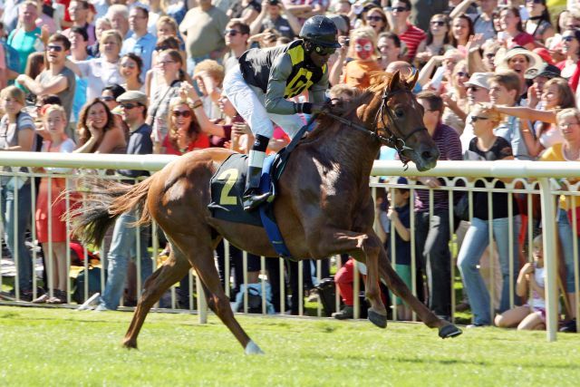 Ein gelungener Einstand für den Sholokhov-Sohn Mac Moneysac mit Eduardo Pedroza in Hoppegarten. www.galoppfoto.de - Sabine Brose