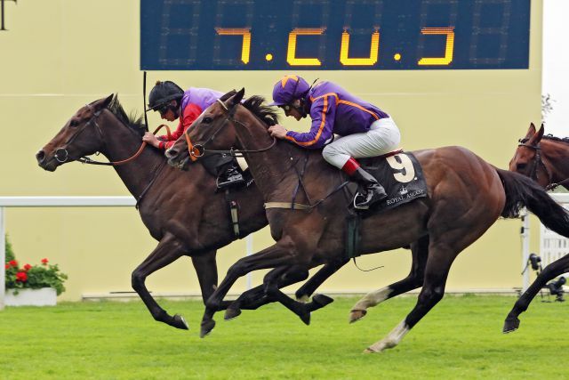 Estimate (Monsun) Gr. I- Siegerin im Gold Cup in Royal Ascot