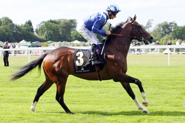 Elzaam mit Richard Hills beim Aufgalopp in Ascot. www.galoppfoto.de - Frank Sorge