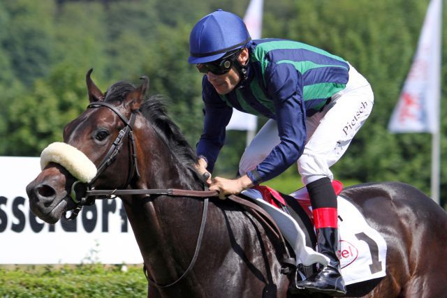 Erster Sieger und beim zweiten Start auch gleich der erste Sieger für Wiesenpfad: Abendwind mit Alexander Pietsch gewinnt das Zweijährigen-Rennen in Düsseldorf. www.galoppfoto.de - Sebastian Höger