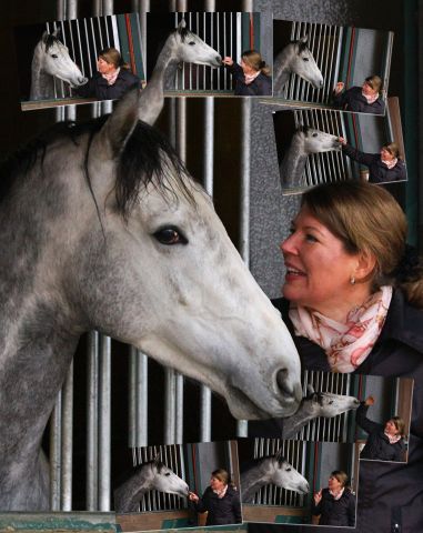 Erlkönig und Eva Uphaus, Mitglied der Pferdekommission im Galopp Club Deutschland. Fotos Sanda Scherning