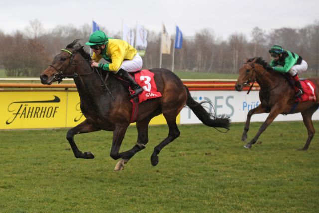 Fair Mountain mit Jozef Bojko gewinnt leicht in Bremen. www.galoppfoto.de - Sabine Brose