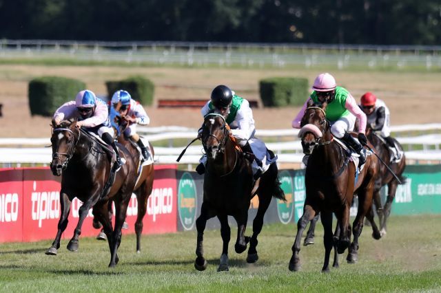 Fearless King (second fr. r.) winning the German 2000 Guineas against Rubaiyat (r.). Foto: Dr. Jens Fuchs