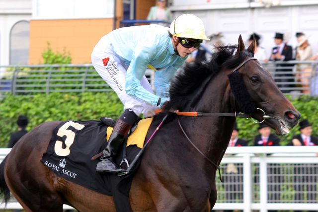 Aufbaustart für die Saison 2014 in Australien für den Monsun-Sohn Fiorente - hier mit Jim Doyle in Royal Ascot. www.galoppfoto.de - Sandra Scherning