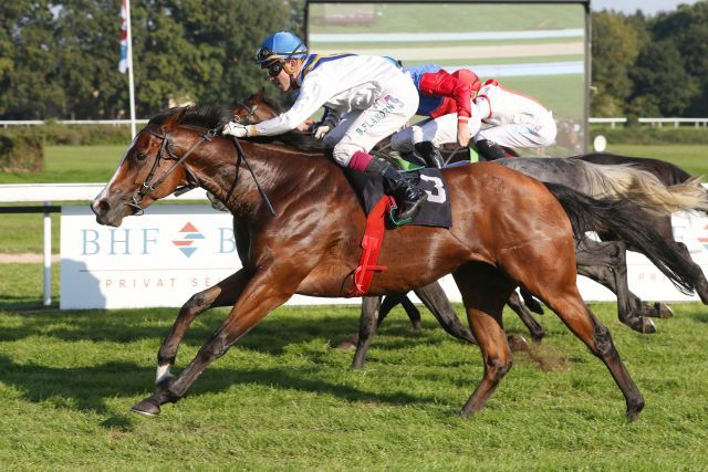 Forgino hat im Ziel die Nase vorn beim BHF-BANK Herbstpreis. Foto: www.koeln-galopp.de - Klaus-Jörg Tuchel