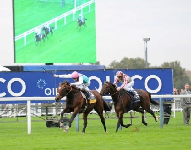 Frankel mit Tom Queally auf dem Weg zu Sieg Nummer 14 - Cirrus des Aigles war ein harter Widersacher. www.galoppfoto.de - John James Clark