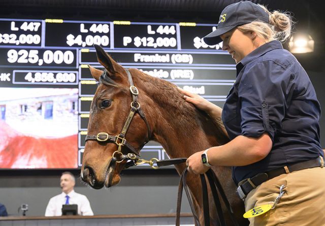 An Yulong ging dieses Frankel-Fohlen. Foto: Magic Millions