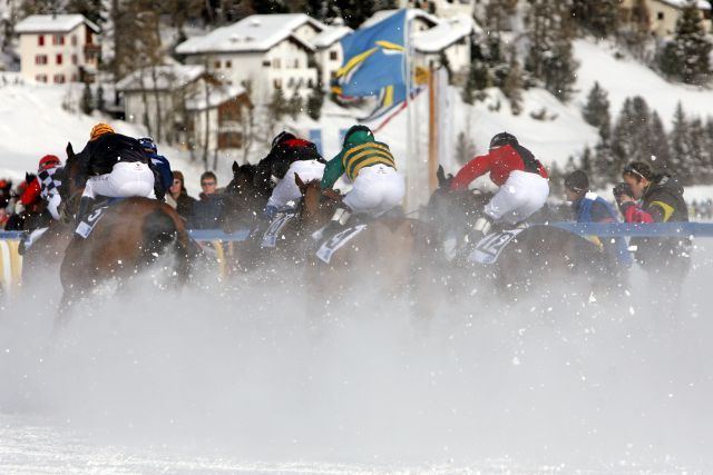 Galopprennen im Schnee - der 75. Große Preis von St. Moritz steht an. www.galoppfoto.de - Frank Sorge
