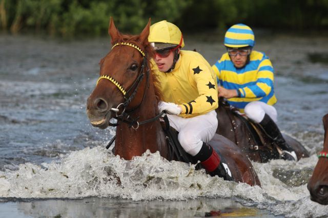 Gelon mit Oliver Schnakenberg ist der Sieger im Seejagdrennen. www.galoppfoto.de - Frank Sorge