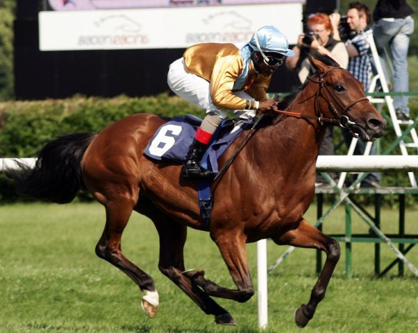 Gestüt Ravensbergs Waldpark - hier mit Eduardo Pedroza beim Derby-Trial in Iffezheim - gewann anschließend das Derby, kam in Deauville nur auf den 6. Rang und läuft jetzt im Longines Großer Preis von Baden. www.galoppfoto.de