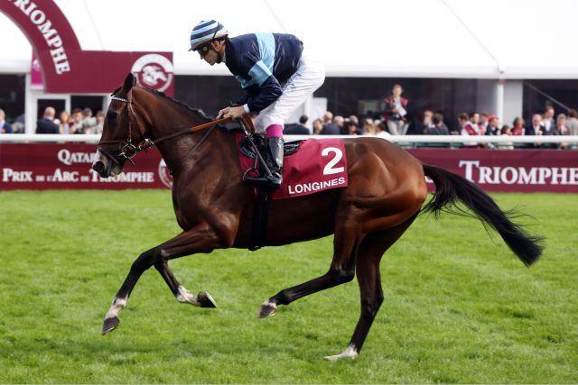 Nun geht die Reise zu Frankel ... Giofra mit Christophe Soumillon in Longchamp 2012. www.galoppfoto.de - Frank Sorge