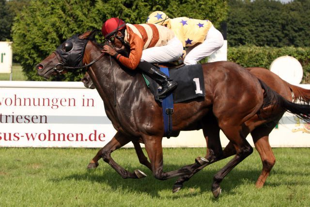 In den Farben von Hans-Georg Stihl landet die Oratorio-Tochter Glenbrook mit Eduardo Pedroza (vorne) nach drei Platzierung nun auch den ersten Sieg. www.galoppfoto.de - Sabine Brose