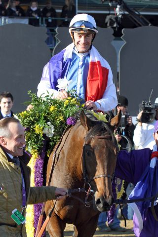 Goldikova mit Olivier Peslier als Siegerin in der Breeders' Cup Mile 2010. www.galoppfoto.de - Petr Guth