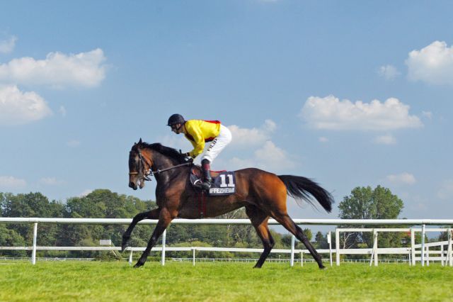 Gestüt Auenquelles zweimalige Gr. I-Siegerin Gonbarda ist auch als Mutterstute im Godolphin-Lot erfolgreich. www.galoppfoto.de