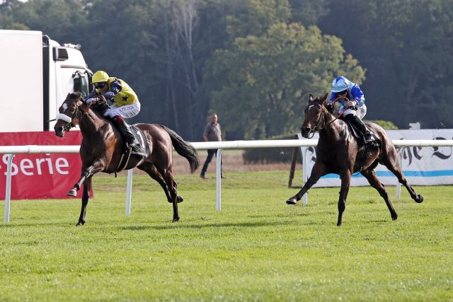 Grocer Jack, winning the Gr. 3 Preis der Deutschen Einheit. www.galoppfoto.de - Sabine Brose