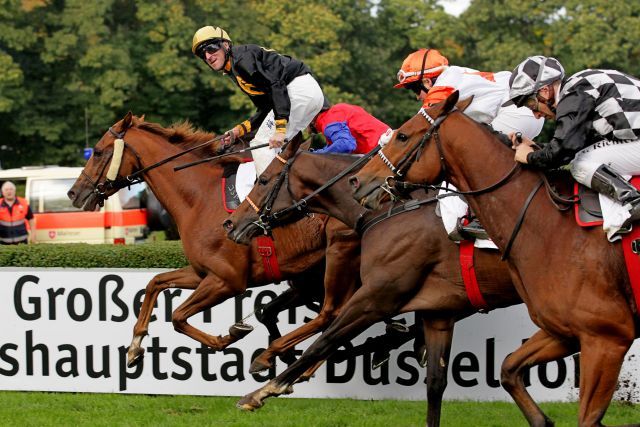 Großer Kampf, knapper Sieg - King's Hall mit Andrasch Starke vor Alianthus. www.klatuso.com - Klaus-Jörg Tuchel