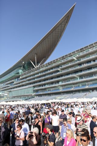 Großes Interesse schon beim Public Viewing und Rennbahnfrühstück während der Morgenarbeit in Dubai. www.galoppfoto.de - Frank Sorge