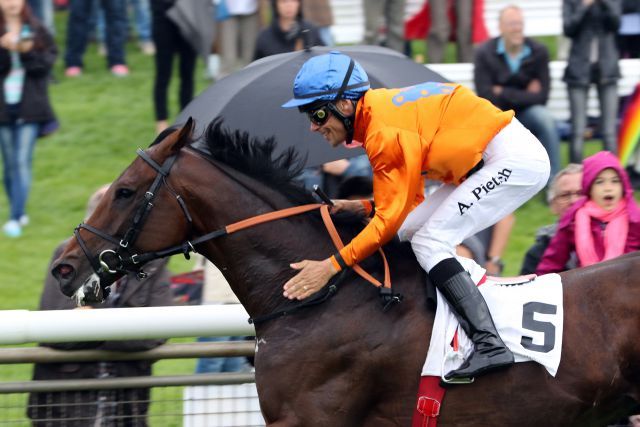 Sieger in Hannover, demnächst wird das Rennen wohl in Düsseldorf stattfinden: Wild Chief mit Alexander Pietsch gewinnt den Großen Audi Q7 Preis des Audi Zentrums Hannover - Meilen Trophy. www.galoppfoto.de - Peter Heinzmann