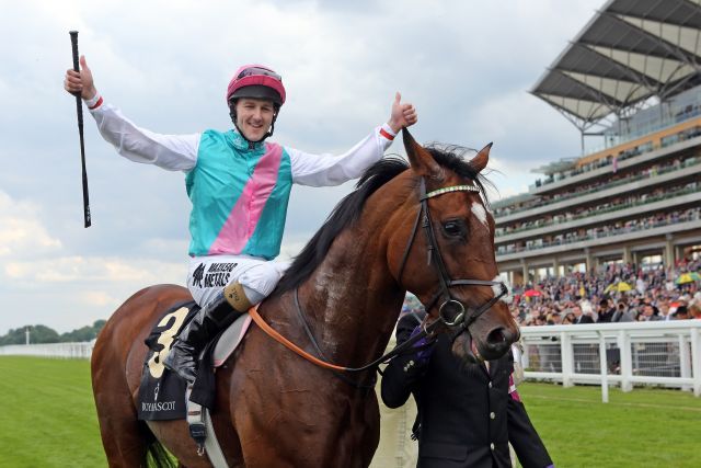 Hier in Ascot gibt Frankel mit Tom Queally seine Abschiedvorstellung. www.galoppfoto.de - Frank Sorge