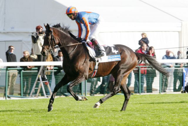 High Chaparral mit Michael J. Kinane beim Aufgalopp zum Prix de l'Arc de Triomphe 2003. www.galoppfoto.de - Frank Sorge