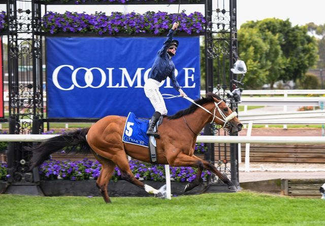 Home Affairs bei seinem Sieg in den Coolmore Stud Stakes. Foto: courtesy by Coolmore