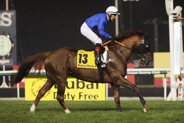 Hunter's Light mit Kieren Fallon beim Aufgalopp 2014 in Dubai. www.galoppfoto.de - Frank Sorge